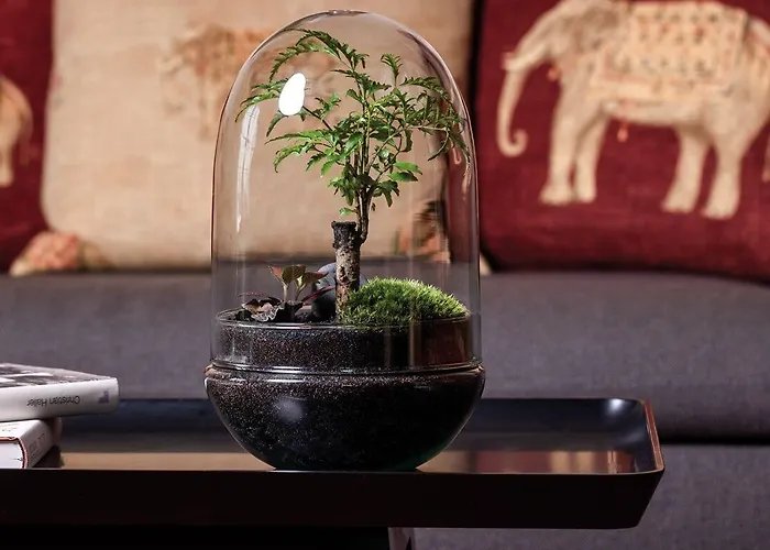 Orania.berlin Отель