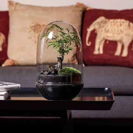 Orania.berlin מלון